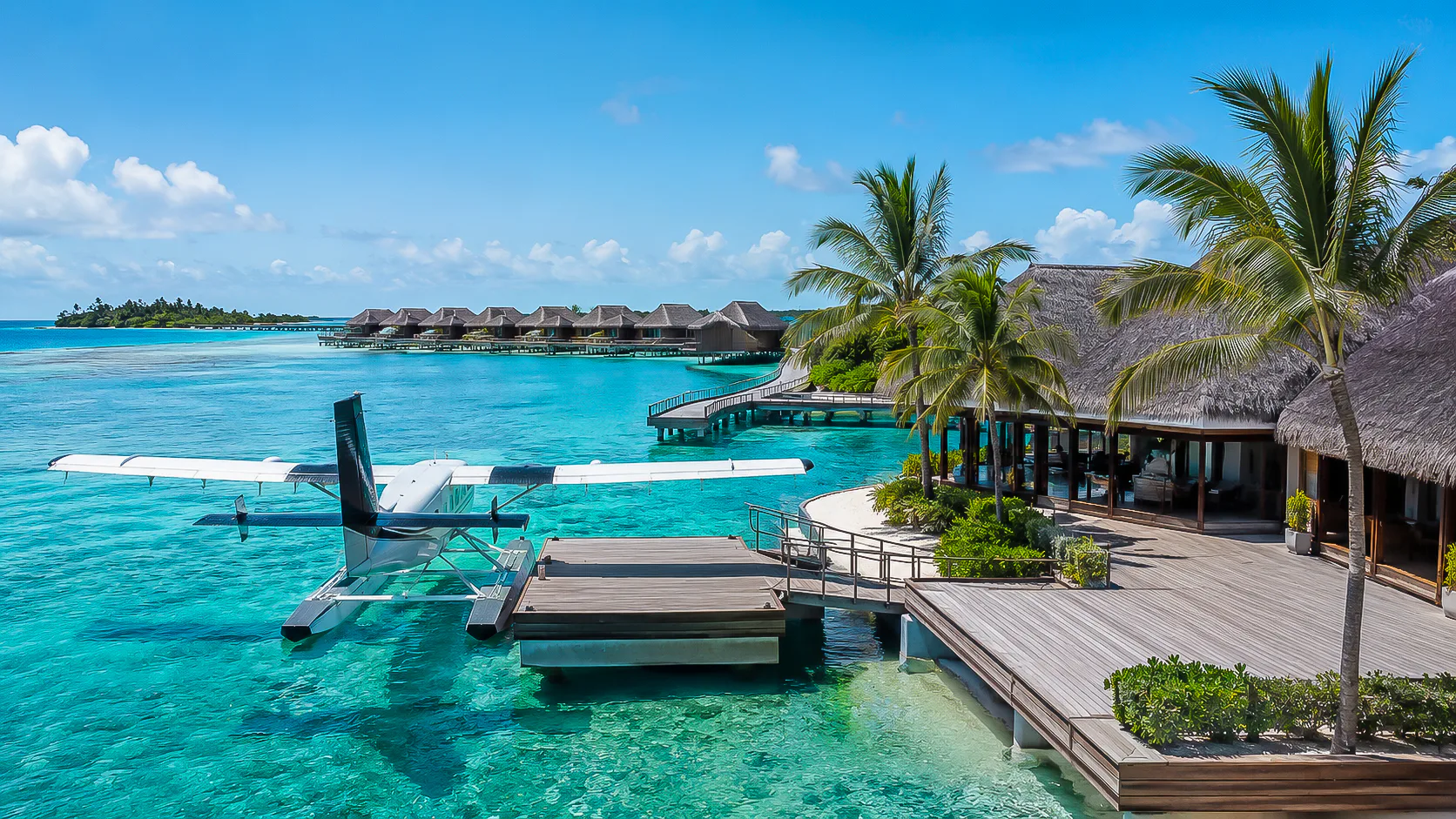 Colorful coral reef life in tropical water